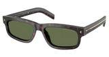 Prada Eyeglasses PR B11S ROOT TORTOISE/17N20G