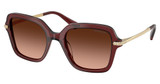 SWAROVSKI Eyeglasses SK6040 TRANSPARENT BURGUNDY/10735M