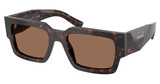 Prada Eyeglasses PR B17SF ROOT TORTOISE/17N06B