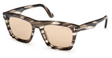 Tom Ford Eyeglasses FT1207 havana/other / brown/56E