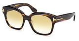 Tom Ford Eyeglasses FT1235 havana/other / gradient brown/56F