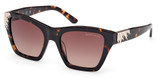 Guess? Eyeglasses GM00024 dark havana / gradient brown/52F