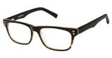 Vision's Eyeglasses AFV243 BLACK TORT. FADE/C01