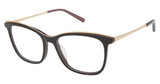 Nicole Miller Eyeglasses NMP817 BLACK / GOLD/C01