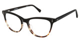 Vision's Eyeglasses AFV264 BLACK TORTOISE/C02