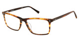 Vision's Eyeglasses AFV265 BROWN HORN/C02