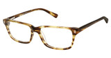 Vision's GH04 YELLOW HAVANNA/C01