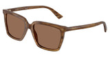 JIMMY CHOO Eyeglasses JC5051 BROWN HAVANA/508573
