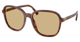 Miu Miu Eyeglasses MU B01S STRIPED TOBACCO/26E10R
