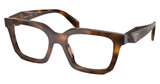 Prada Eyeglasses PR C08V JUNIPER TORTOISE/20D1O1