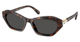 SWAROVSKI SK6048 HAVANA/100287