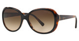 Giorgio Armani Eyeglasses AR8047 TOP BLACK HAVANA/504913