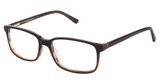 XXL Eyewear Eyeglasses Bearcat Black Demi/BLACK DEMI