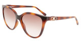 Ferragamo Eyeglasses SF1056S TORTOISE/240