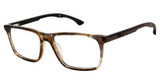 Champion Eyeglasses STOKE TORTOISE/C02