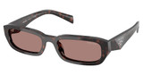 Prada Eyeglasses PR B06S ROOT TORTOISE/17N60B