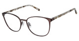 Isaac Mizrahi New York IM 30043 Brown/BR