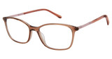 PHOEBE Eyeglasses P314 BROWN/BRN