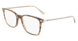 Calvin Klein Eyeglasses CK22541 STRIPED OLIVE/317