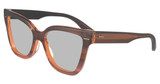 Calvin Klein CK23543 STRIPED BROWN/240