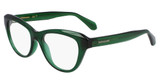 Ferragamo SF2989E TRANSPARENT GREEN/317