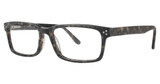 Randy Jackson Eyeglasses Randy Jackson 3028 Tortoise/24