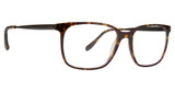 Badgley Mischka Baldwin Eyeglasses