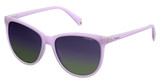 Polaroid PLD 4066/S Sunglasses