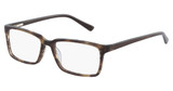 Genesis Eyeglasses G4042 BROWN HORN/200