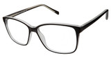 New Globe Eyeglasses L4079 Black/BLACK