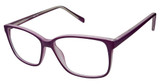 New Globe Eyeglasses L4079 Purple/PURPLE