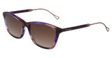 Cole Haan Eyeglasses CH7081 PLUM HORN/505