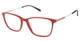 Alexander Collection Eyeglasses Finley Coral/CORAL