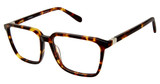 Cremieux Eyeglasses Alan TORTOISE/TORTOISE