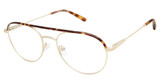 Cruz Eyeglasses Larimer Rd Gold/GOLD