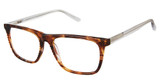 XXL Eyewear Eyeglasses Pelican Tortoise/TORTOISE