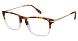 Cremieux Eyeglasses Delave Tortoise Crystal/TORTOISE CRYSTAL