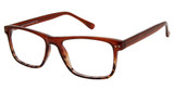 New Globe Eyeglasses M441 Brown/BROWN