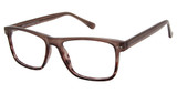 New Globe Eyeglasses M441 Gray/GRAY