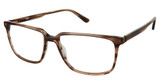 XXL Eyewear Tuga Brown Horn/BROWN HORN