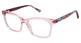 RACHEL Rachel Roy Eyeglasses Warm Blush/BLUSH