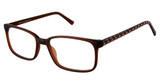 New Globe Eyeglasses M447 Brown/BROWN
