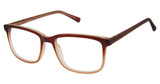 New Globe Eyeglasses M448 Brown/BROWN