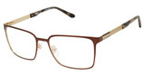 XXL Eyewear Eyeglasses Hotspur Brown/BROWN