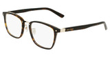 Cole Haan Eyeglasses CH3005 TORTOISE/240