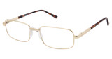 New Globe Eyeglasses M5008 Matte Gold/MATTE GOLD