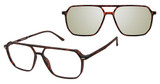XXL Eyewear Montana Havana/HAVANA