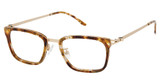 Alexander Collection Eyeglasses Halle Honey/HONEY