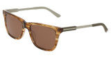 Cole Haan Eyeglasses CH6086 BROWN HORN/210