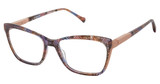 Alexander Collection Eyeglasses Maya Summer/SUMMER